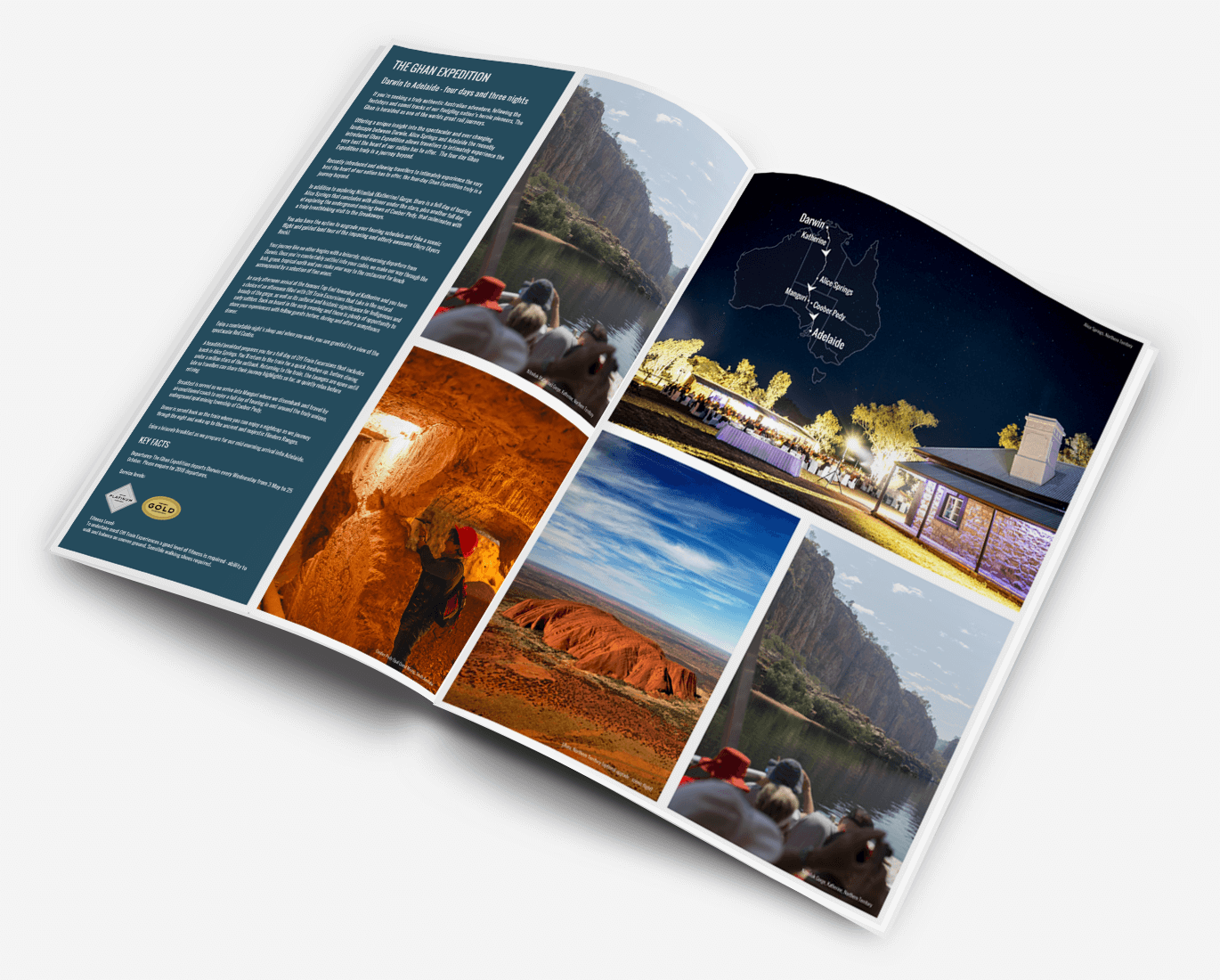 Print Design for ANZCRO (UK) | design dpi Portfolio